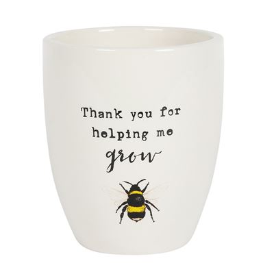 Bee Planter In Gift Box